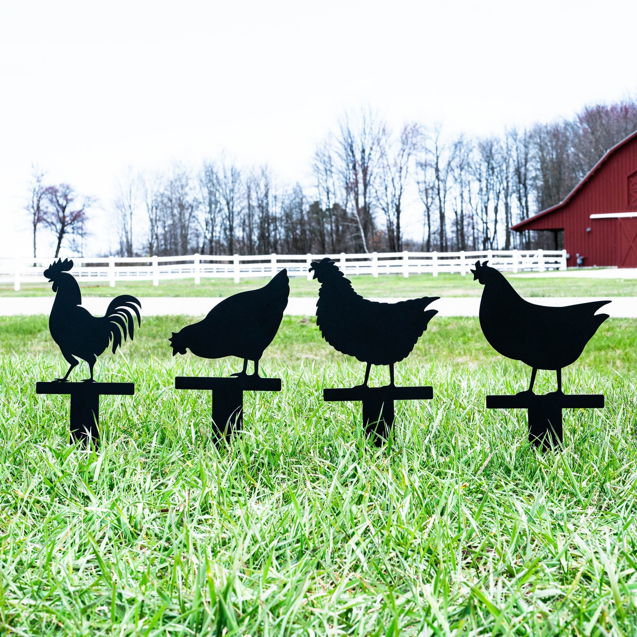Chicken Stakes